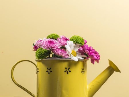 Yellow watering can Discount