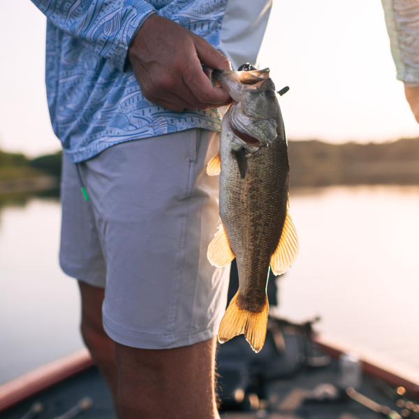 Overcast (More Than Just) Boat Shorts Fashion