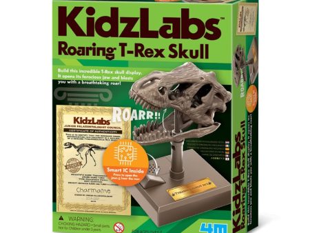 4M-03399 KidzLabs - Roaring T-Rex Skull For Discount