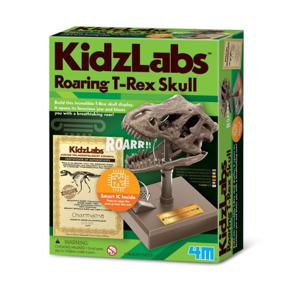 4M-03399 KidzLabs - Roaring T-Rex Skull For Discount